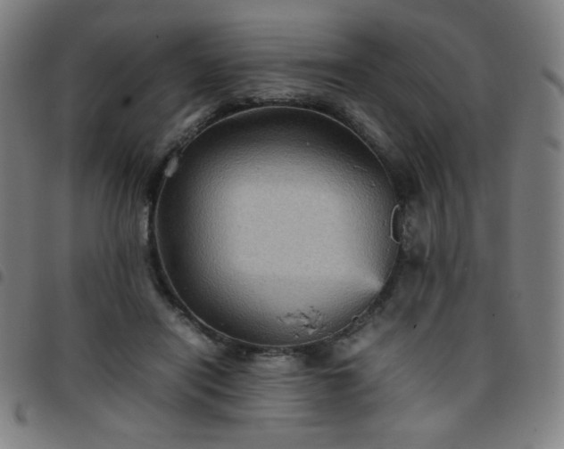 X0000097660454200803071536