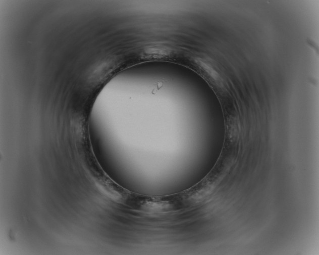 X0000097660455200803071536