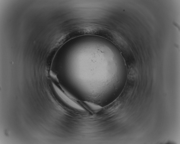 X0000097660456200803071536
