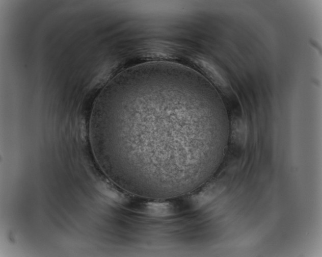 X0000097660457200803071536