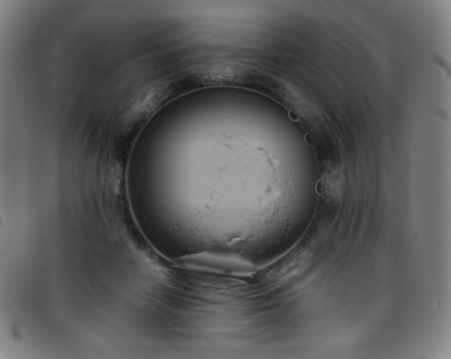 X0000097660458200803071536