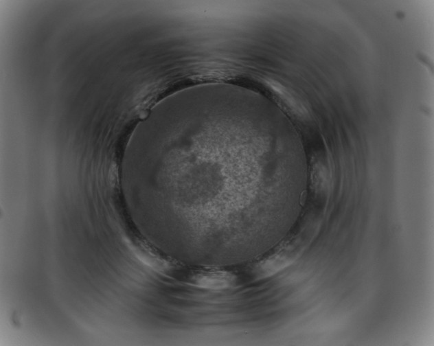 X0000097660459200803071536