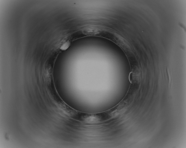X0000097660460200803071536
