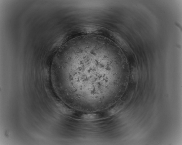 X0000097660461200803071536