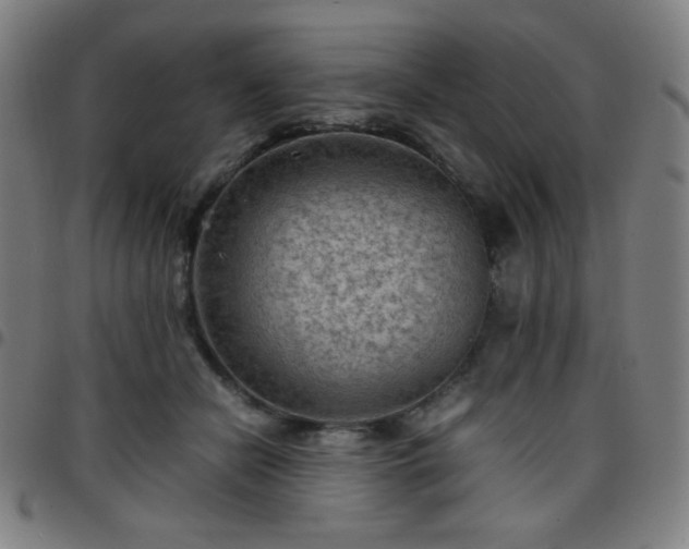 X0000097660462200803071536