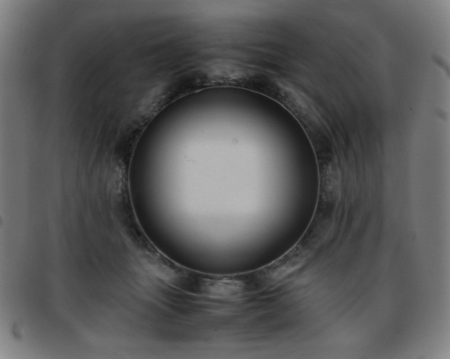 X0000097660463200803071536