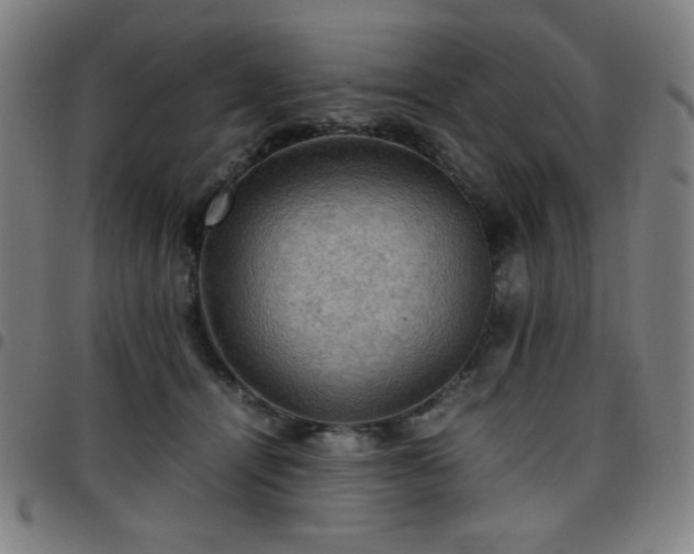 X0000097660464200803071536