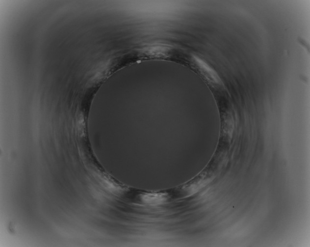 X0000097660465200803071536