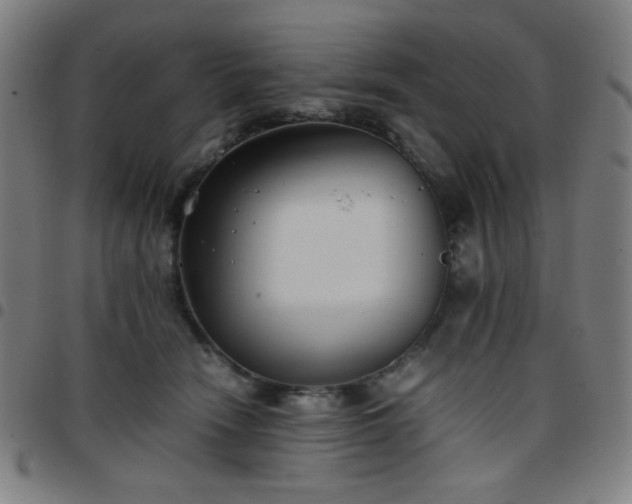 X0000097660466200803071536