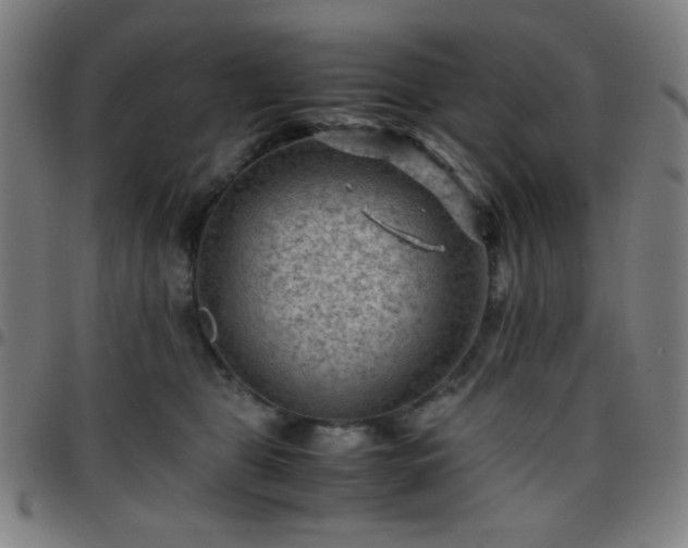 X0000097660469200803071536