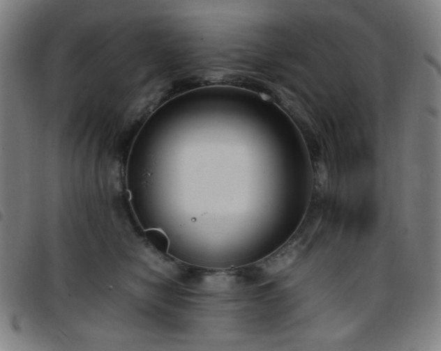 X0000097660470200803071536