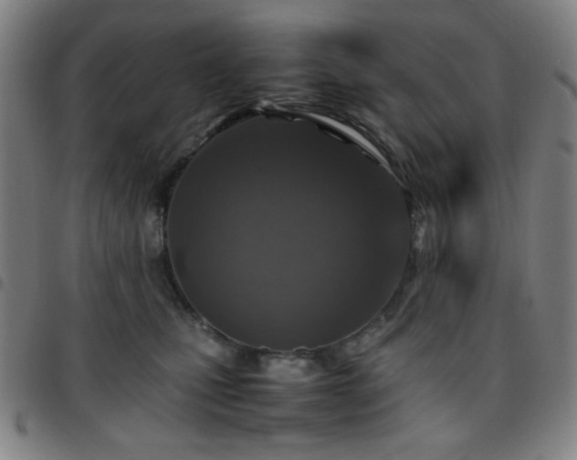 X0000097660471200803071536