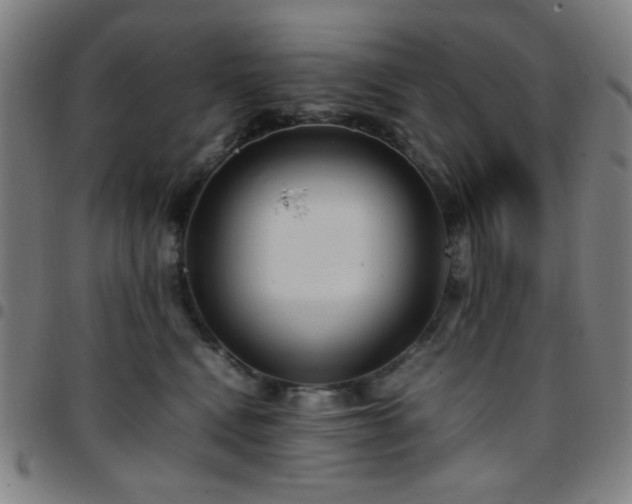 X0000097660472200803071536