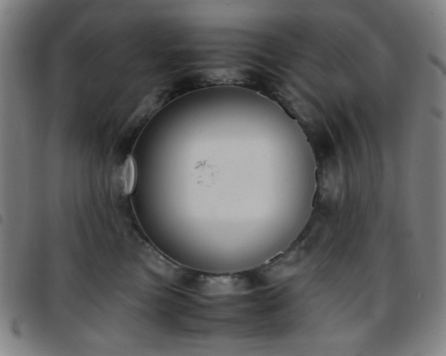 X0000097660473200803071536