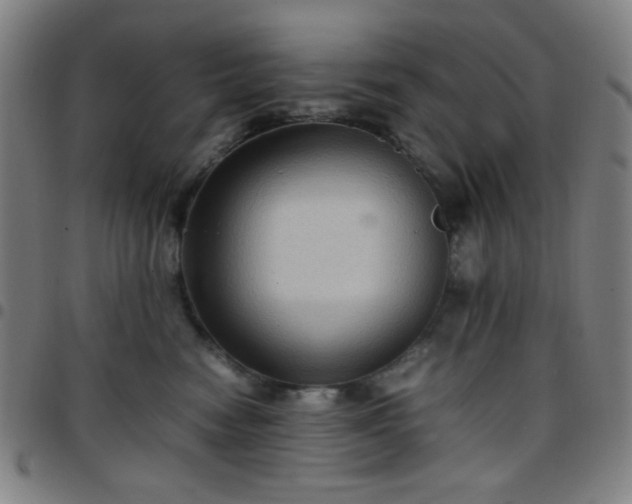 X0000097660474200803071536