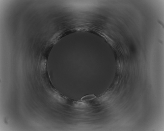 X0000097660475200803071536