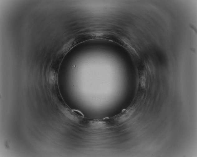 X0000097660476200803071536