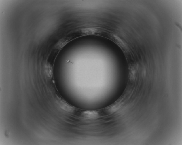 X0000097660477200803071536