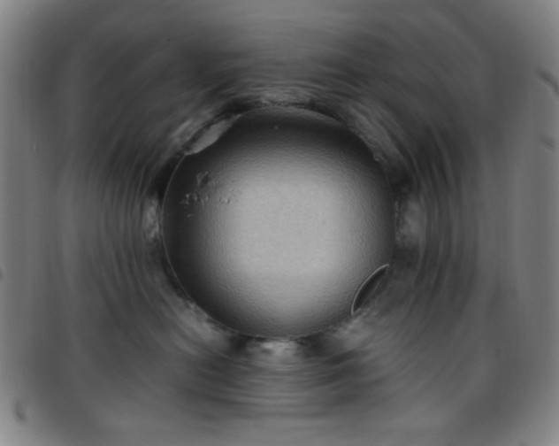 X0000097660478200803071536