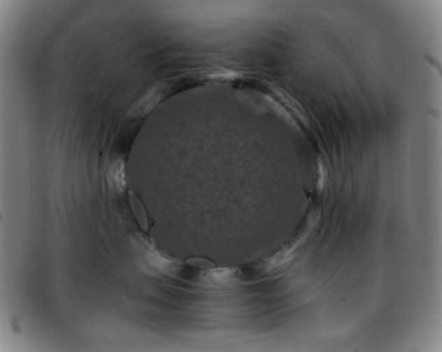 X0000097660479200803071537