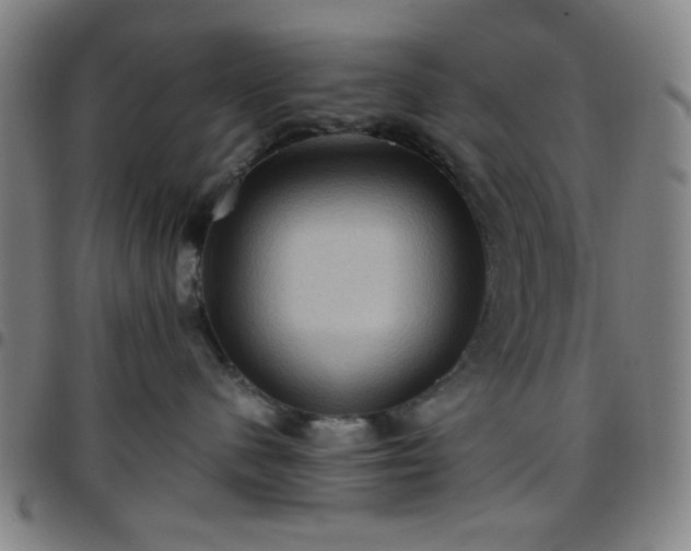 X0000097660480200803071537