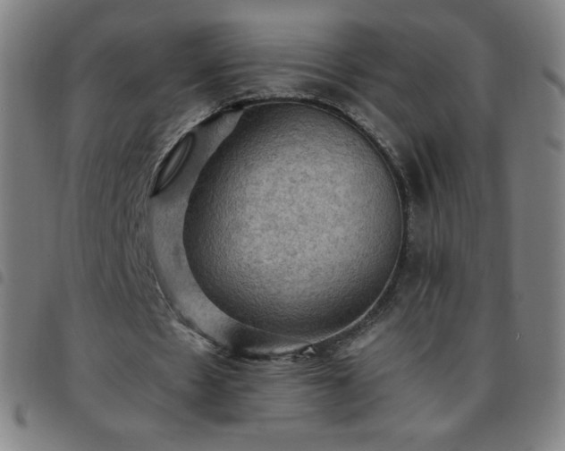 X0000097660481200803071536
