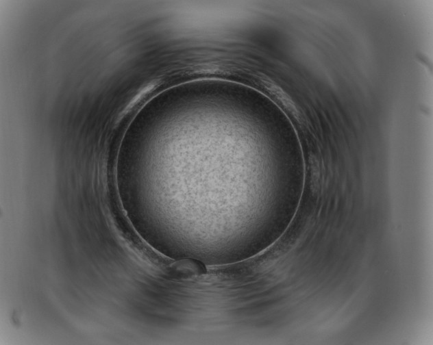 X0000097660482200803071536