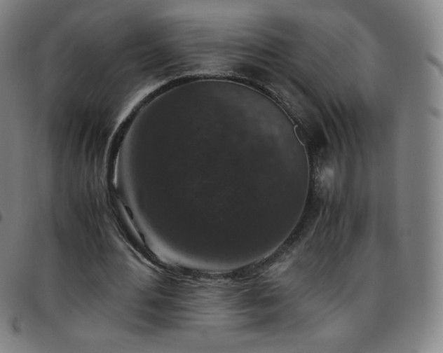 X0000097660484200803071536
