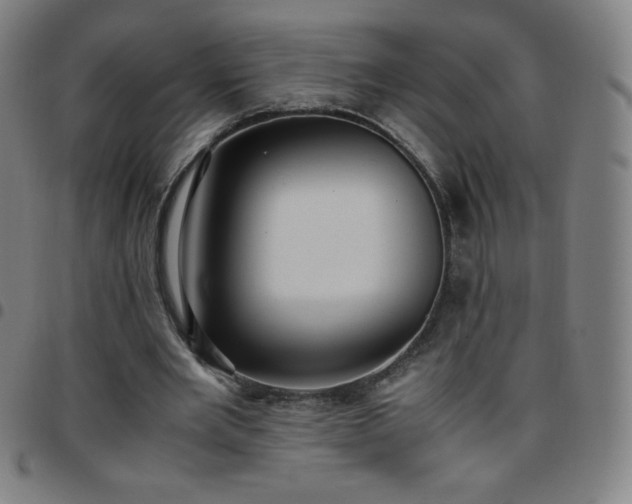 X0000097660485200803071536