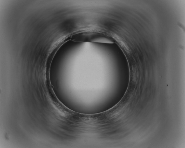 X0000097660486200803071536