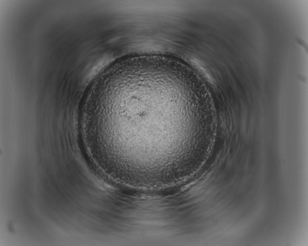 X0000097660487200803071536