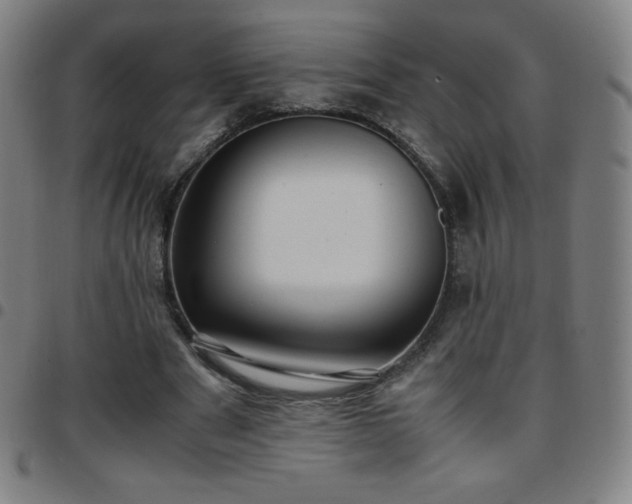 X0000097660489200803071536