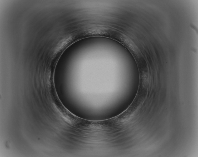 X0000097660490200803071536