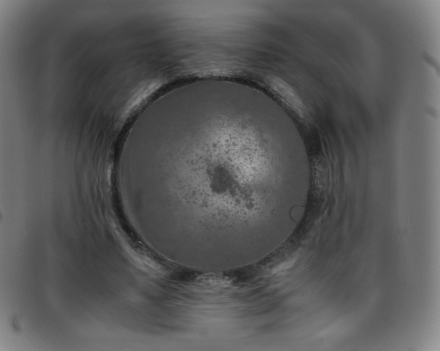 X0000097660491200803071535