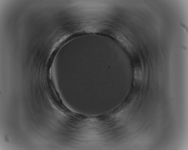 X0000097660492200803071535