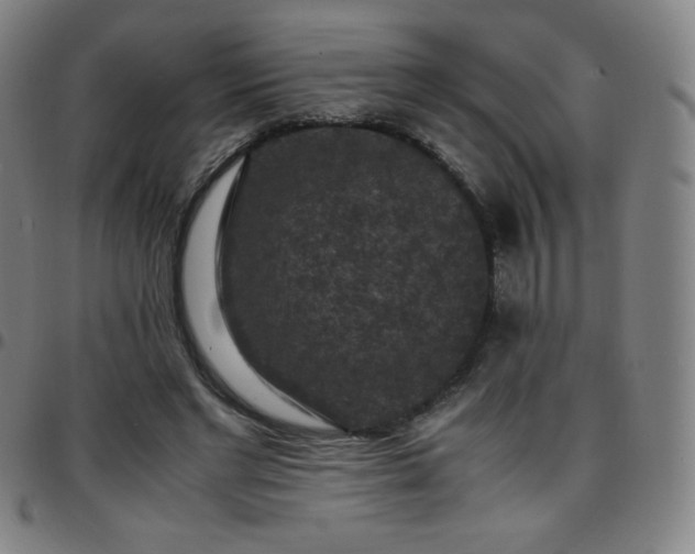 X0000097660493200803071535