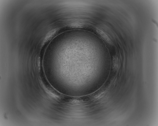 X0000097660494200803071535
