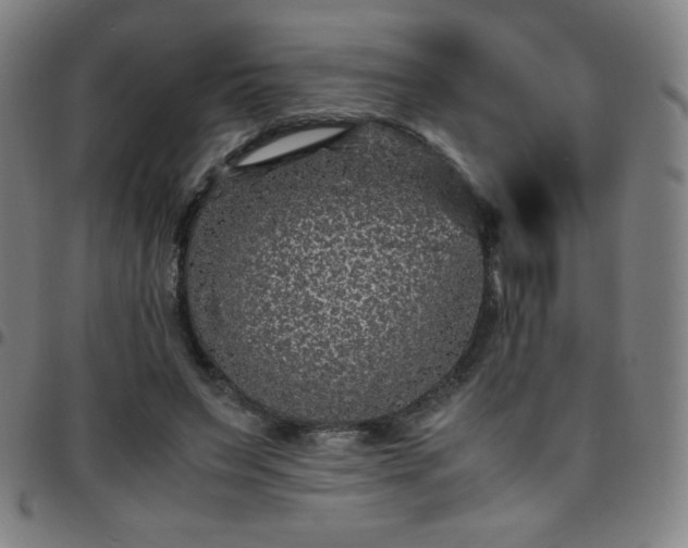 X0000097660495200803071535