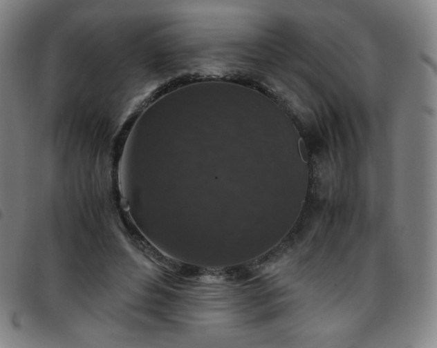 X0000097660496200803071535
