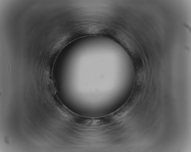 X0000097660497200803071535