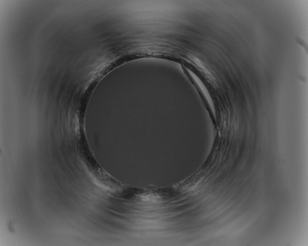 X0000097660500200803071535
