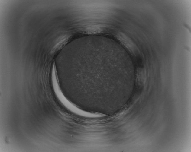 X0000097660501200803071535