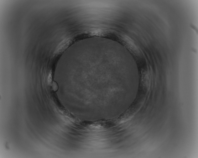 X0000097660502200803071535