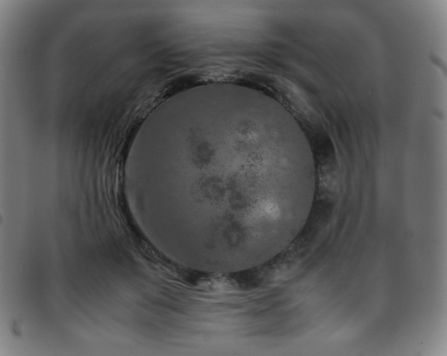X0000097660503200803071535