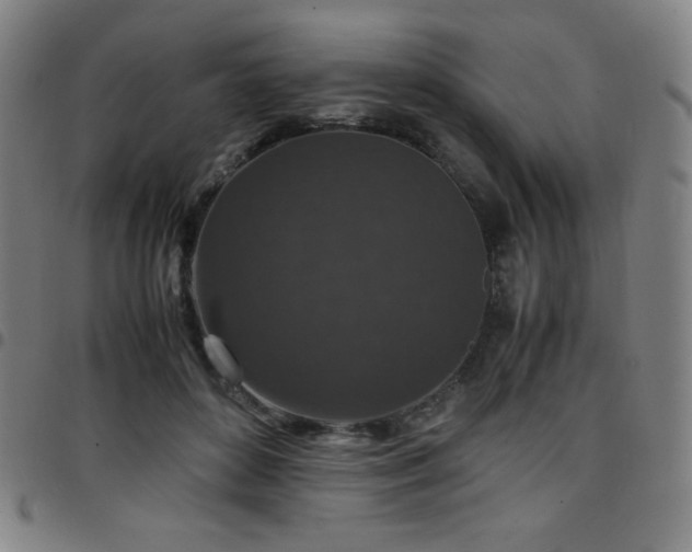 X0000097660504200803071535
