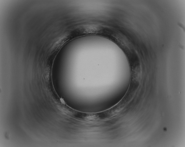 X0000097660505200803071535