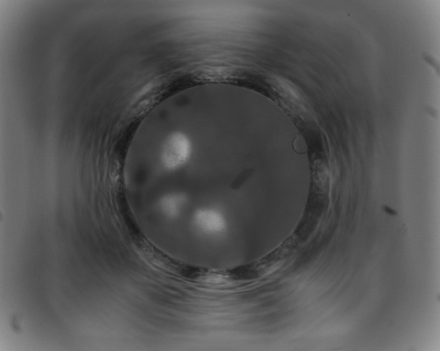 X0000097660507200803071535