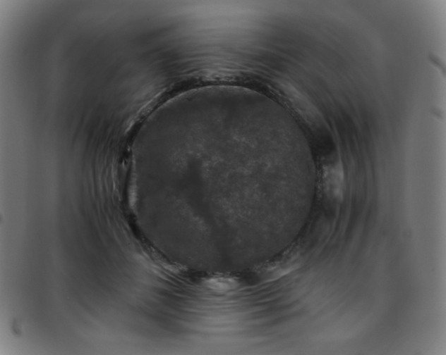 X0000097660508200803071535