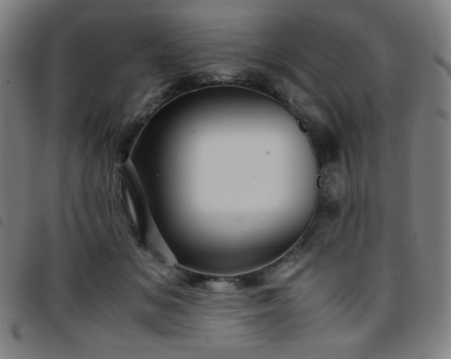 X0000097660509200803071535