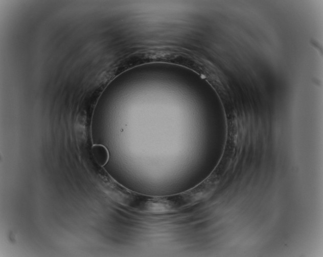 X0000097660510200803071535